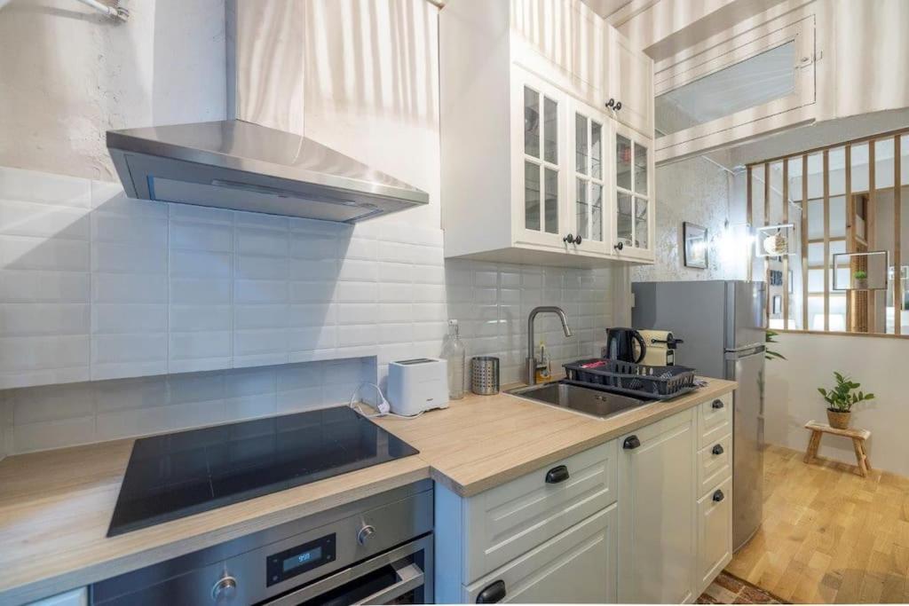 Appartement Cosy Dans Les Rues Pietonnes Grenoble Kültér fotó